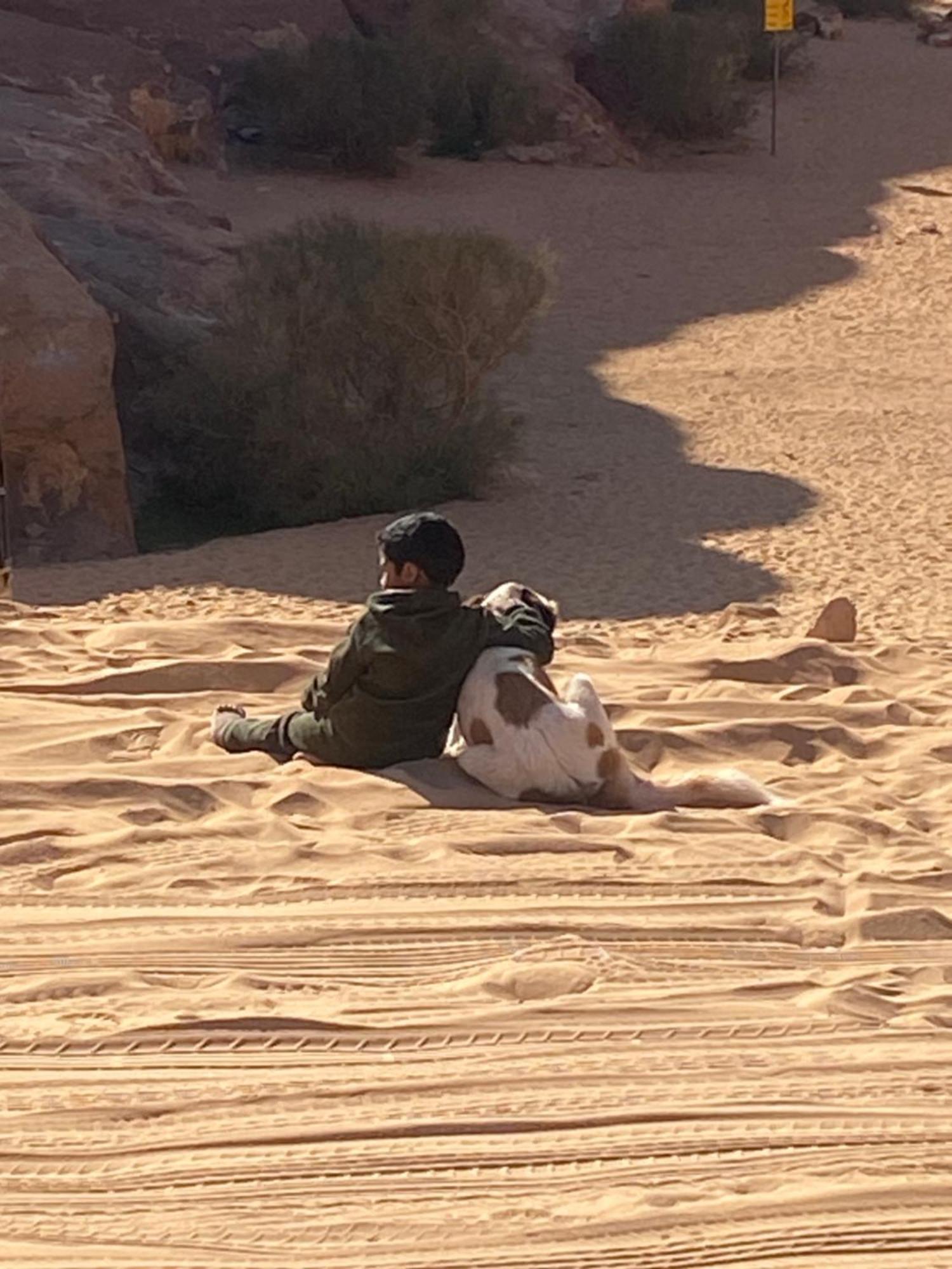 Wadi Rum Bedouin Heart Camp Eksteriør bilde