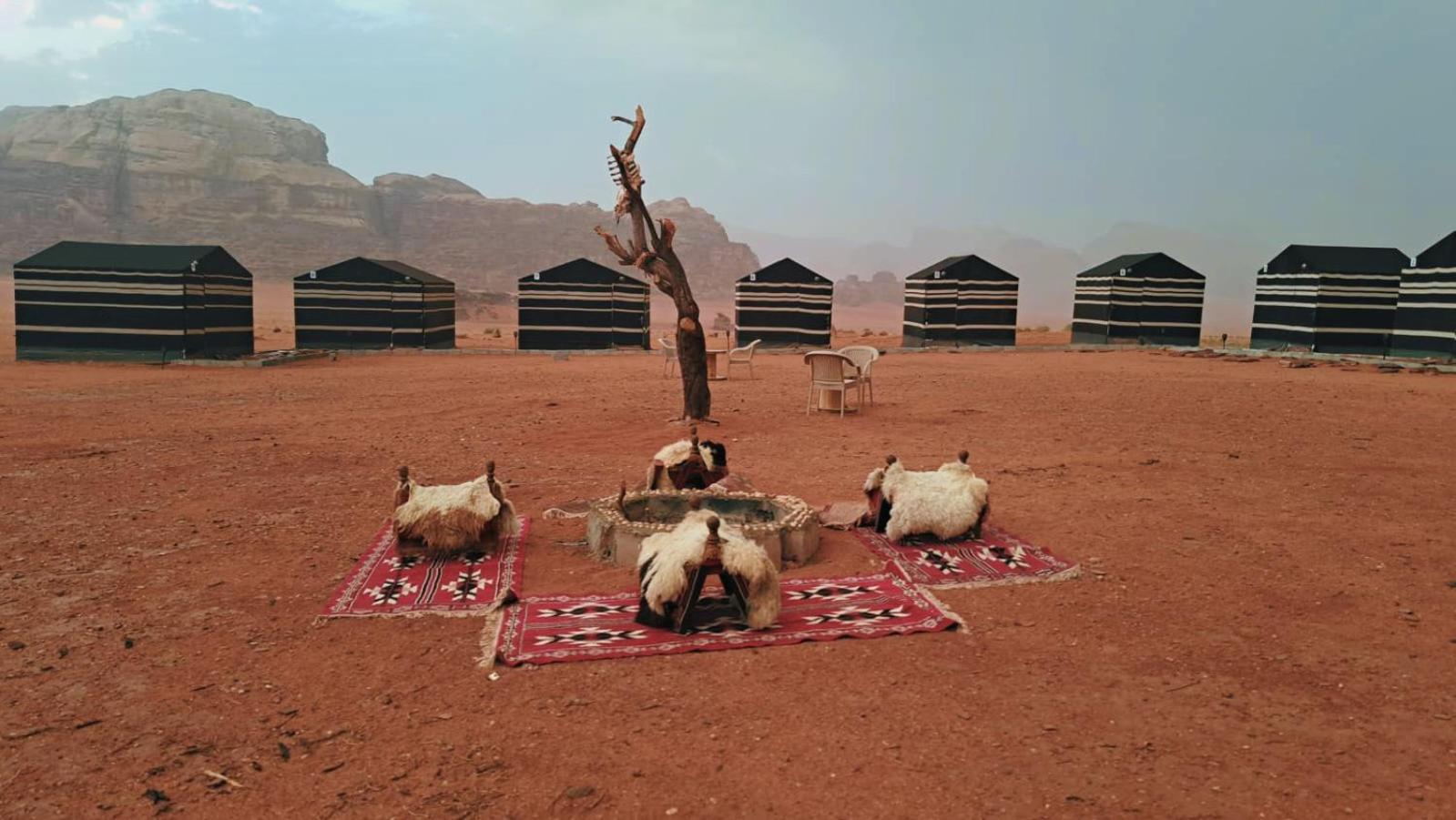 Wadi Rum Bedouin Heart Camp Eksteriør bilde